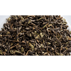 Golden Darjeeling GFOP fekete tea